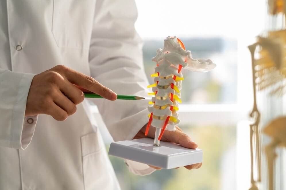 Médico com uma maquete, explicando sobre doenças da medula óssea.